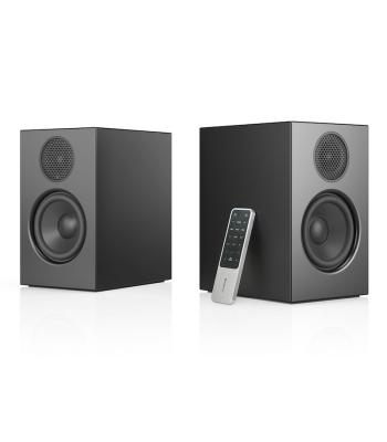 Audio Pro A28 Multiroom TV Speaker